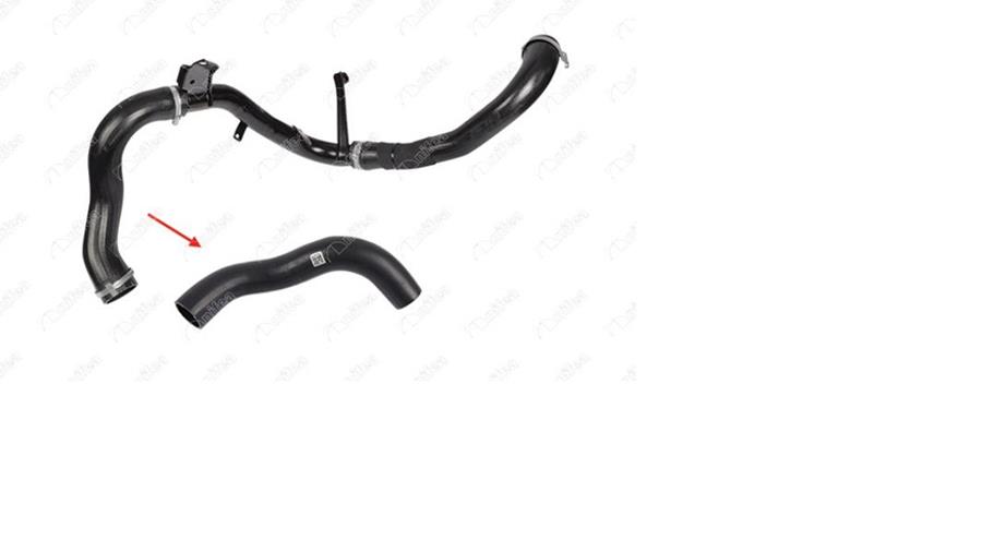 896458570.jpg 896458570