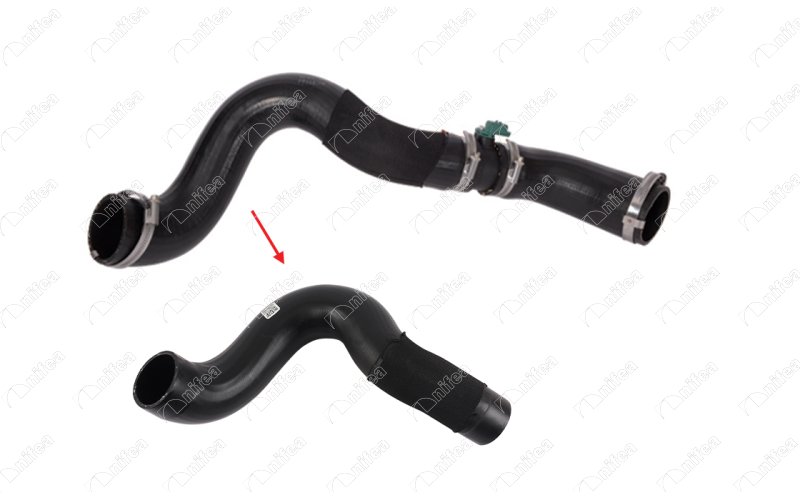 CREATOR: gd-jpeg v1.0 (using IJG JPEG v80), quality = 85 911320296