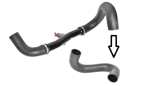 975834086.jpg 975834086