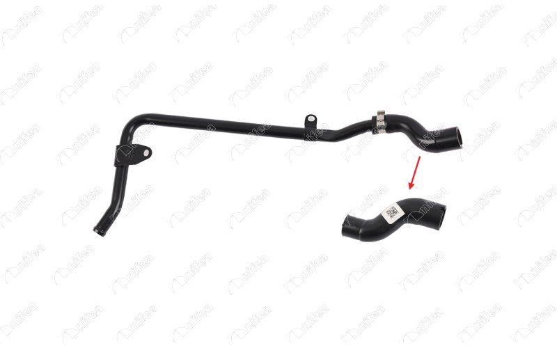 152979090.jpg 152979090