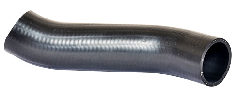 271804858.jpg 271804858