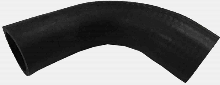 337396970.jpg 337396970