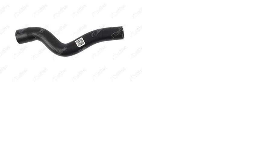 340372410.jpg 340372410