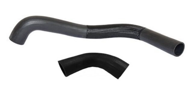 342735099.jpg 342735099