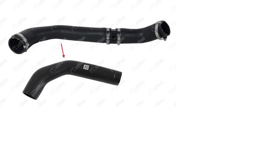 378753267.jpg 378753267