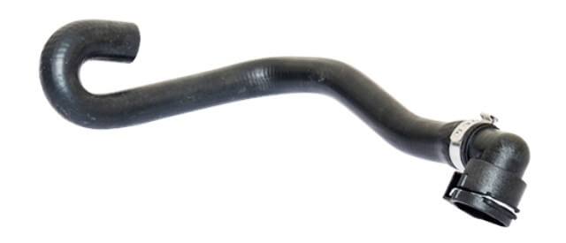 420419054.jpg 420419054