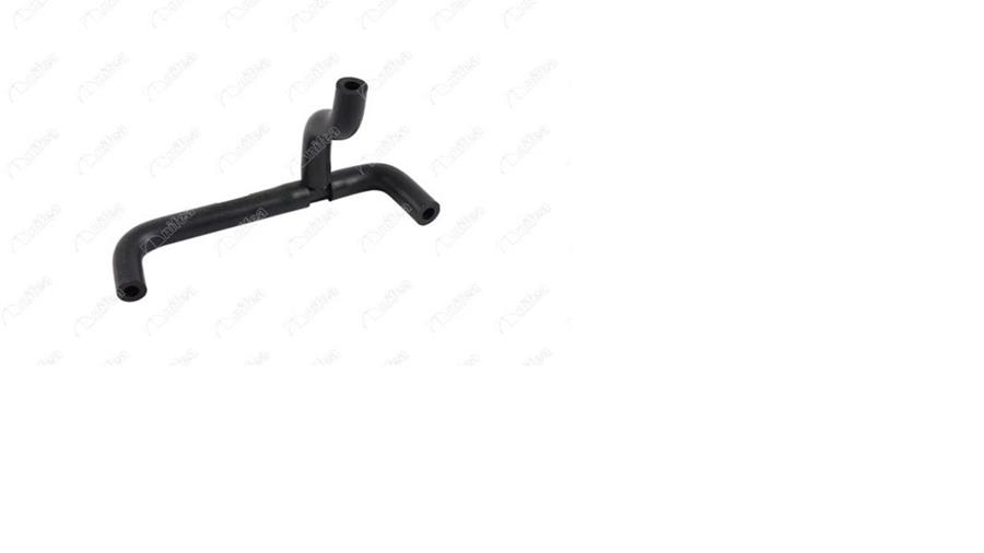 482385039.jpg 482385039