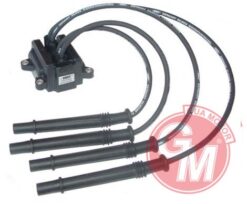 Ateşleme Bobini Renault Clıo Iı 01 > Clıoııı 05 > Twng 01 > 1.2 16v D4f.7.06-d4f.7.12 Kablolu - 8200084401-8200702693-8200025256