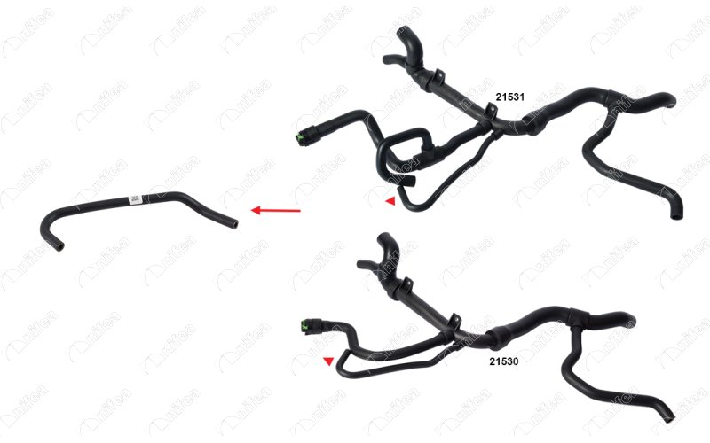 CREATOR: gd-jpeg v1.0 (using IJG JPEG v80), quality = 85 553738080