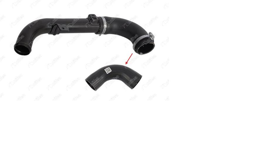 559303666.jpg 559303666