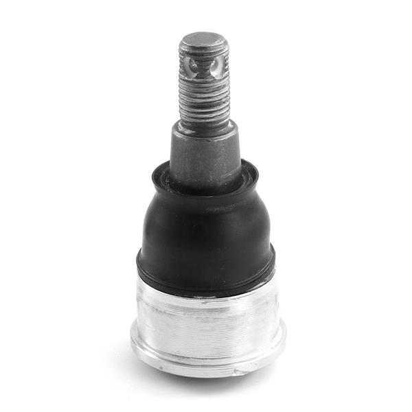 607578283.jpg 607578283