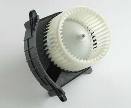 617585269.jpg 617585269