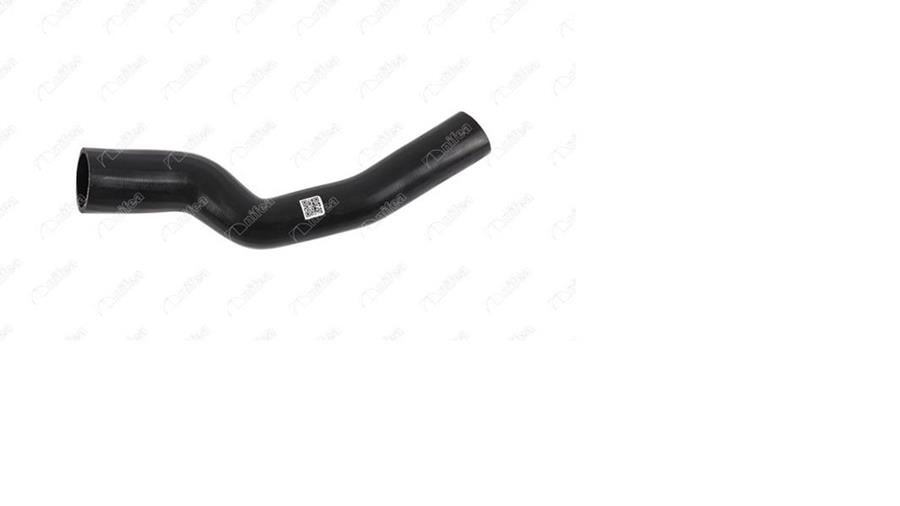 700461240.jpg 700461240