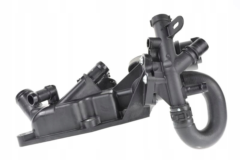 700868350.jpg 700868350