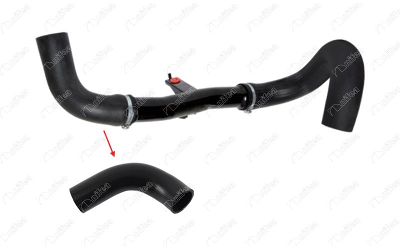 CREATOR: gd-jpeg v1.0 (using IJG JPEG v80), quality = 85 702877282