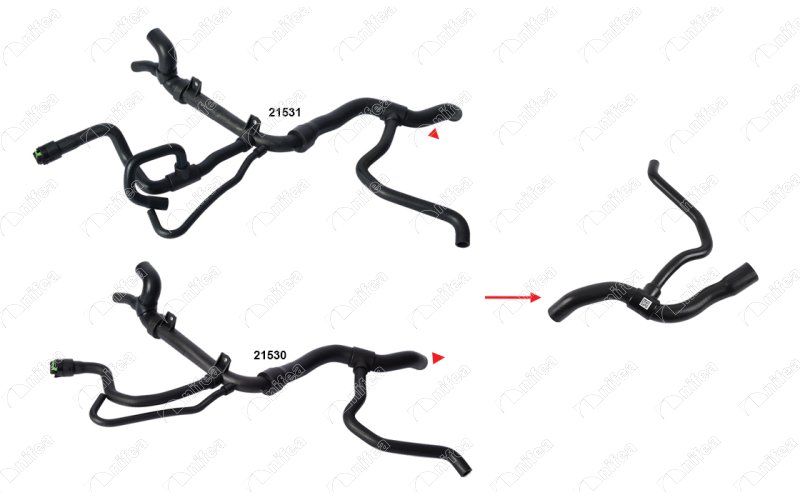 CREATOR: gd-jpeg v1.0 (using IJG JPEG v80), quality = 85 755956799