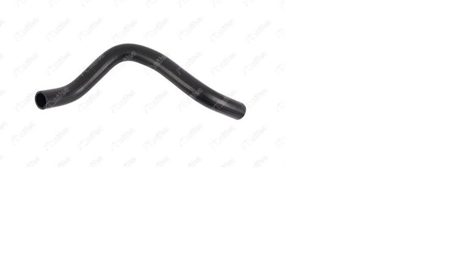 900450973.jpg 900450973