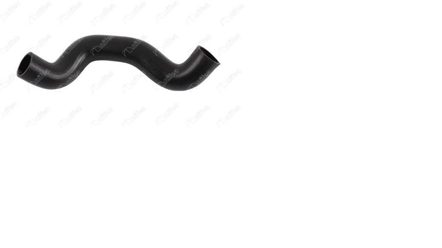 912653222.jpg 912653222