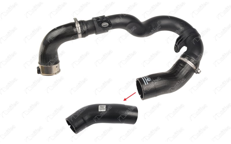 CREATOR: gd-jpeg v1.0 (using IJG JPEG v80), quality = 85 943314252