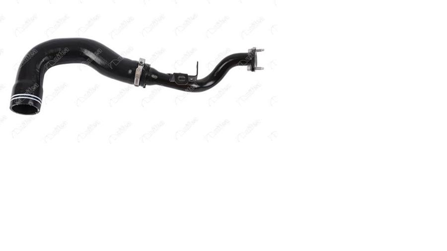 972958587.jpg 972958587