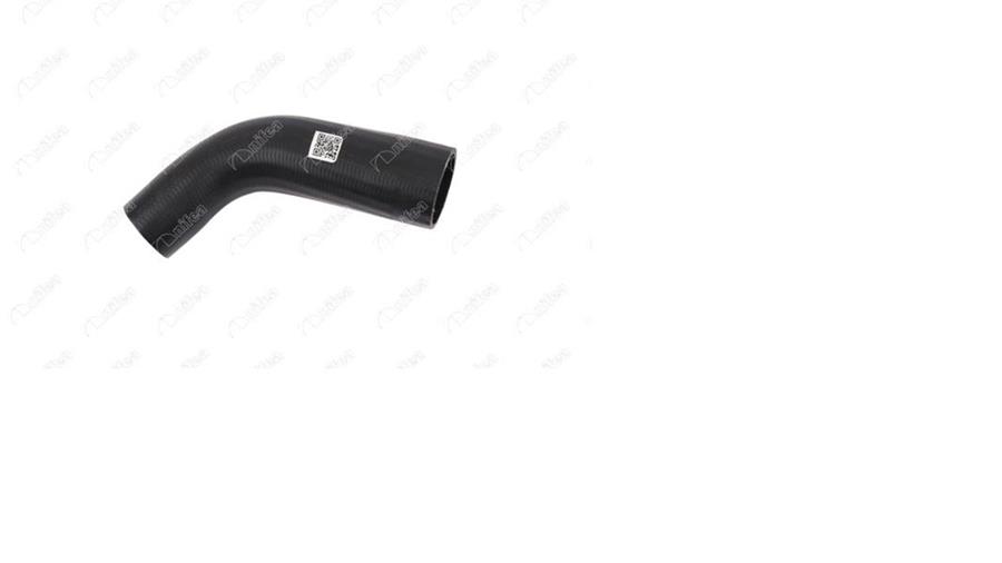 973484395.jpg 973484395