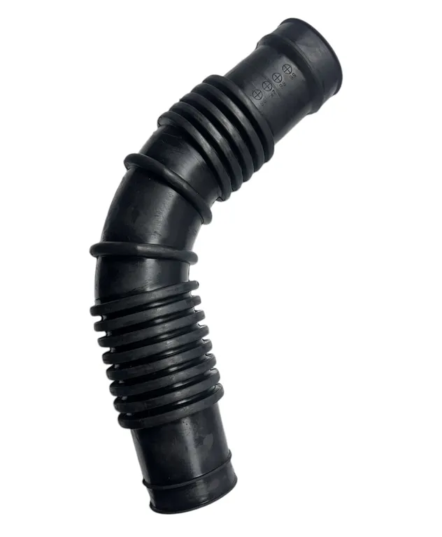 img008160.webp img008160