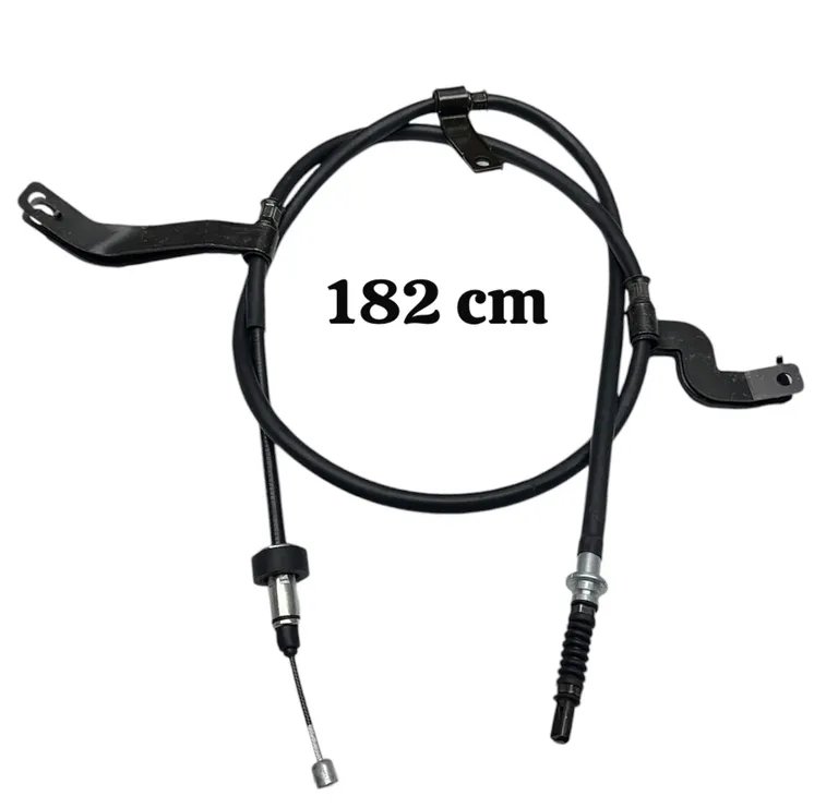 img008253.webp img008253