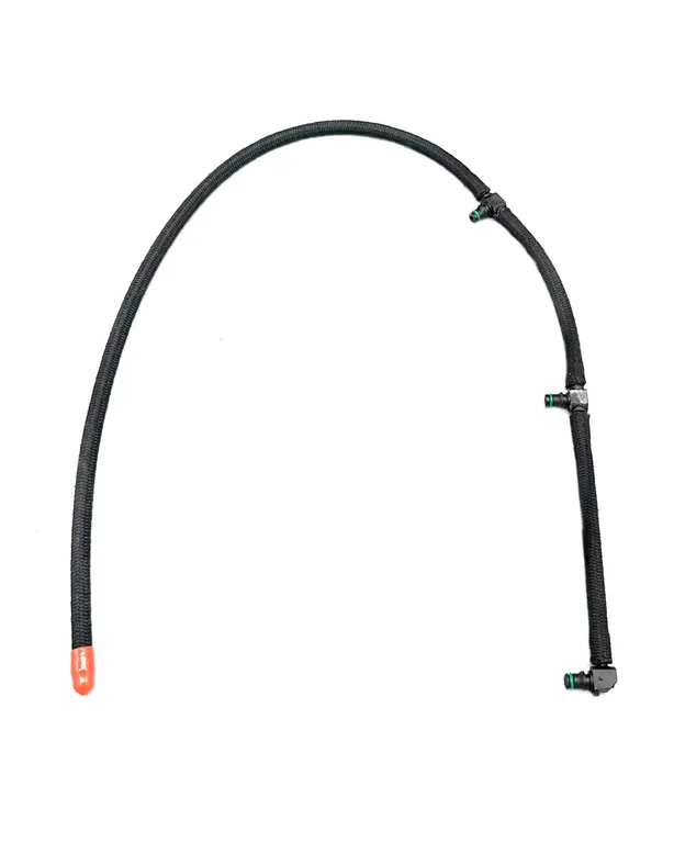 img024810.webp img024810