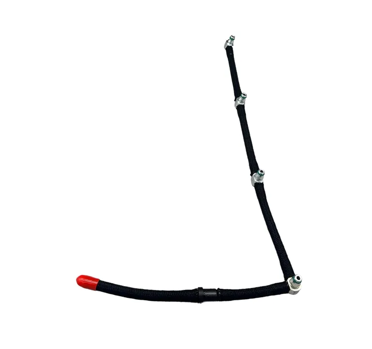 img024811.webp img024811