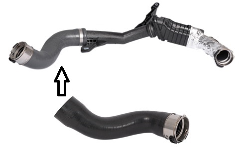 154821362.jpg 154821362