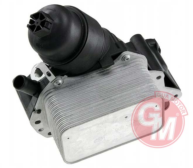 Yağ Soğutucusu Komple Renault R9m 1.6dci Trafıc Iıı-fluence-megane Iıı-megane Iv-scenıc Iıı- Grand S Cenıc-scenıc Iv-talısman-kadjar - 152081926R-152085948R-70375888 1 Yağ Soğutucusu Komple Renault R9m 1.6dci Trafıc Iıı-fluence-megane Iıı-megane Iv-scenıc Iıı- Grand S Cenıc-scenıc Iv-talısman-kadjar - 152081926R-152085948R-70375888