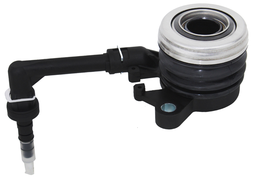 353027818.jpg 353027818