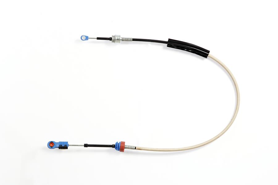 359706663.jpg 359706663