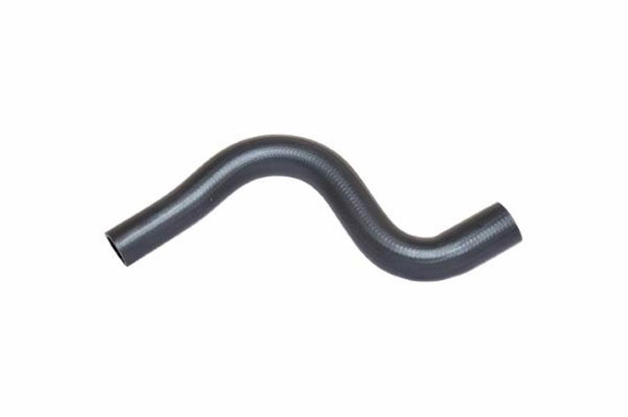 375877825.jpg 375877825