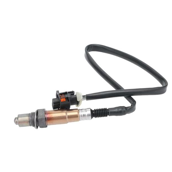 535423787.jpg 535423787