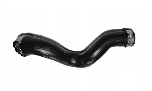 541575961.jpg 541575961