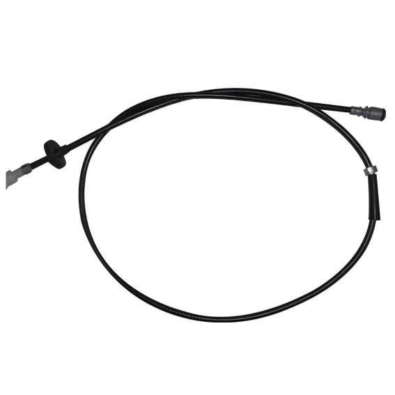 557656134.jpg 557656134