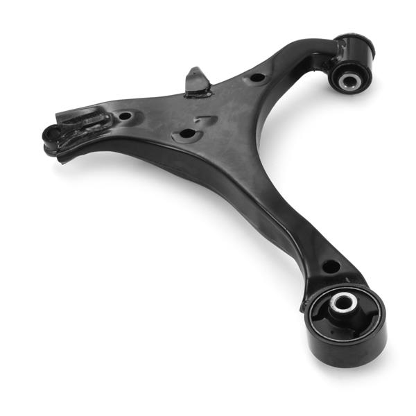 590490138.jpg 590490138