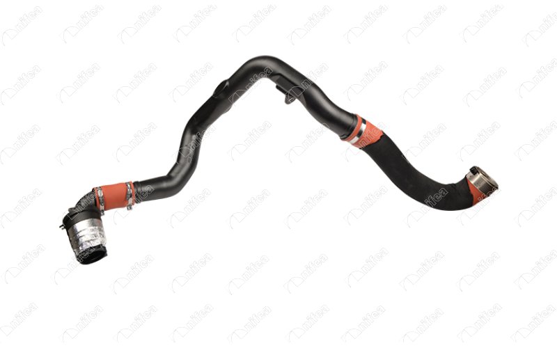 CREATOR: gd-jpeg v1.0 (using IJG JPEG v80), quality = 85 723713501