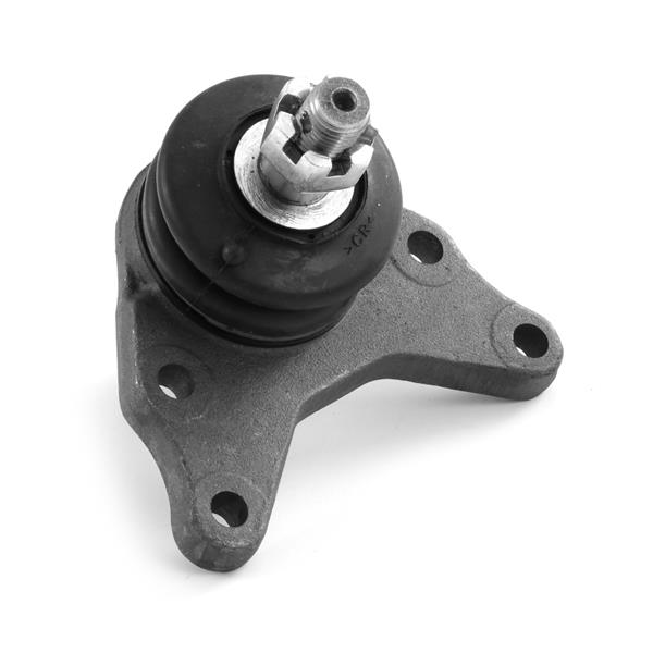 861605677.jpg 861605677