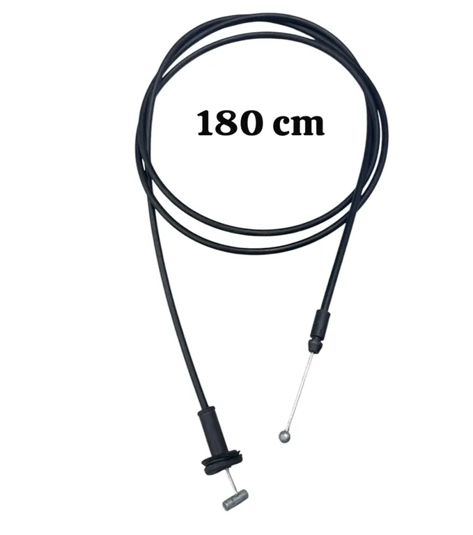 img010267.webp img010267