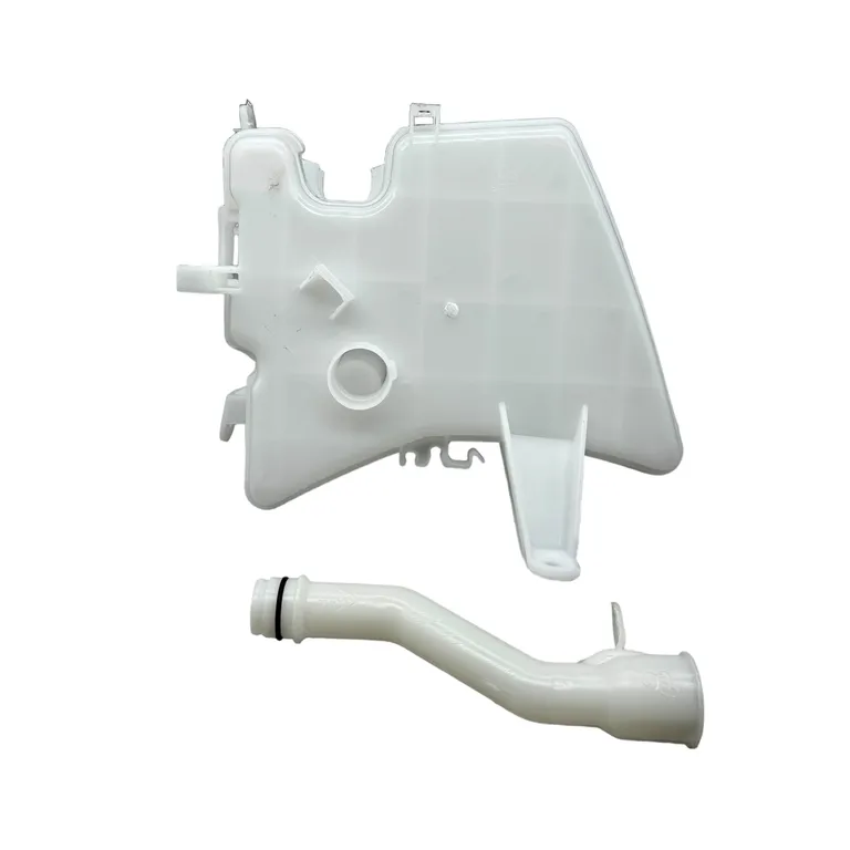 img010502.webp img010502