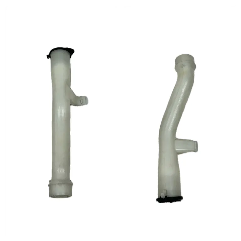 img024509.webp img024509