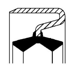 12015147b Dingil Aksı Keçesi - 2476049