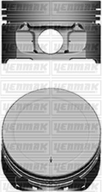 Motor Piston Segman Std P106-p206-p306-p307-p308-partner-berlıngo-c2-c3-c4-xsara Tu5jp4 1.6 16v Tepe Yük 0.15 Mm 109 Kw - 0628.N0-0628.N2