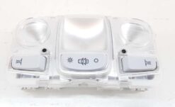 Tavan Lambası P208-p308-p3008-p5008-c4 Cactus-pıcasso - 96781445PR