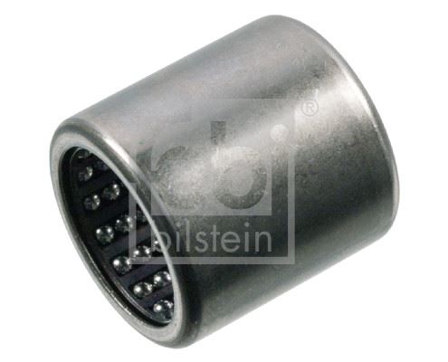 313043402.jpg 313043402