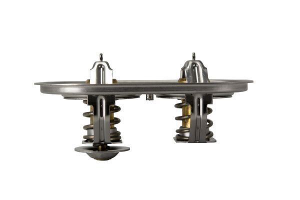 327062856.jpg 327062856