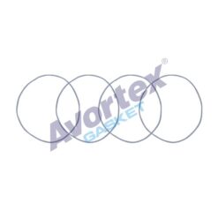 Mot.gömlek Contası Silikon Reno Tüm Modeller - 7701348178