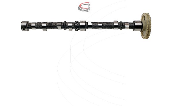 704031827.jpg 704031827